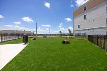 Dog park